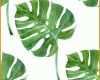 Bemerkenswert Palmenblatt Vorlage 1300x1390