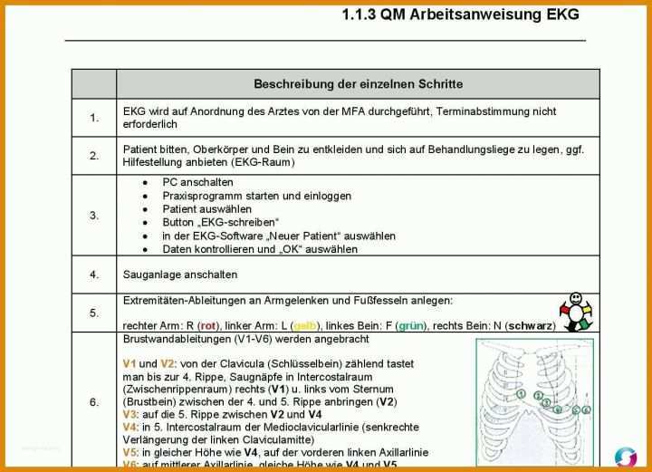 Allerbeste Anamnese Fragebogen Vorlage 1236x894