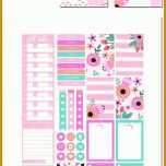 Tolle Excel Filmliste Vorlage 736x3768