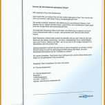 Singular Lebenslauf Vorlage Openoffice 950x1247