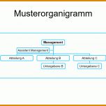 Kreativ organigramm Vorlage 1025x762