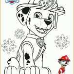 Bemerkenswert Paw Patrol Vorlage 2489x3532