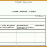 Toll Protokoll Schreiben Vorlage Pdf 1236x719