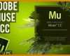 Unvergleichlich Adobe Muse Vorlagen Free 750x422