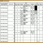 Selten Auditprogramm Vorlage Excel 813x556