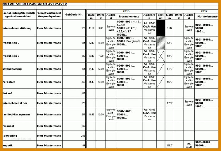 Kreativ Auditprogramm Vorlage Excel 813x556