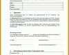 Selten Ergebnisprotokoll Vorlage Excel 737x957