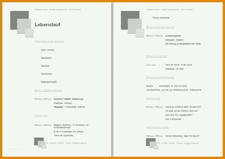 Singular Gratis Lebenslauf Vorlage 988x697