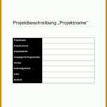 Limitierte Auflage Projektbeschreibung Vorlage Schule 760x1075
