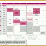 Außergewöhnlich Zeitmanagement Wochenplan Vorlage 1169x827