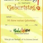 Faszinieren 42 Bimschg Betriebstagebuch Vorlage 1218x1726