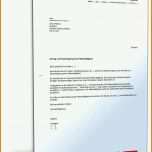 Singular Anmeldung Nebengewerbe Arbeitgeber Vorlage 1600x2100