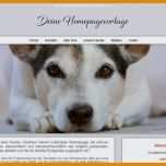 Selten Hunde Homepage Vorlagen 800x495