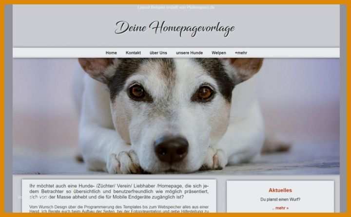 Staffelung Hunde Homepage Vorlagen 800x495