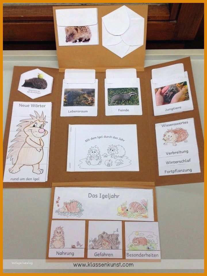 Überraschend Lapbook Vorlagen Zum Ausdrucken 720x960