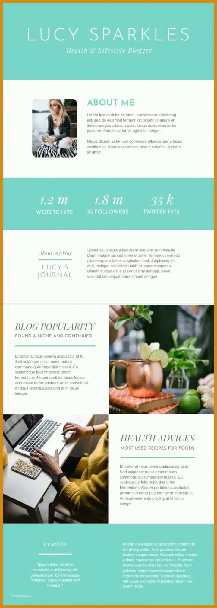 Limitierte Auflage Media Kit Vorlage 796x2228