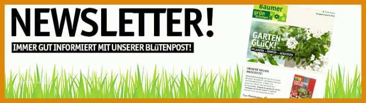 Fabelhaft Pflanze Der Woche Berichtsheft Vorlage 789x222