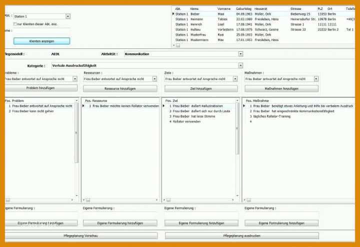 Bemerkenswert Pflegeplanung Vorlage Word 728x500