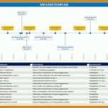 Tolle Projektmanagement Excel Vorlage 736x497