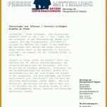 Faszinierend Vorlage Pressemitteilung Word 800x1090