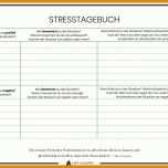 Atemberaubend Vorlage Tagebuch 842x595