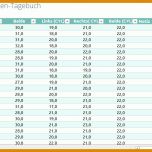 Spektakulär Borderline Tagebuch Vorlage 1205x525