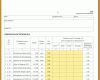 Rühren formblatt 223 Excel Vorlage Kostenlos 1020x850