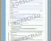 Schockierend Kfz Mietvertrag Vorlage Pdf 907x1200