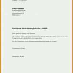 Rühren Kündigung Einzugsermächtigung Vorlage 724x1024