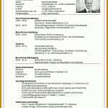 Überraschend Lebenslauf Vorlage Ausbildung 724x1004