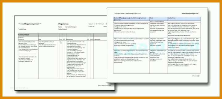 Ausnahmsweise Pflegeplanung Leere Vorlage 900x400