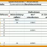 Spezialisiert Qualifikationsmatrix Excel Vorlage Kostenlos 981x310