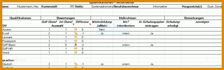 Singular Qualifikationsmatrix Excel Vorlage Kostenlos 981x310