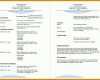 Einzigartig Resume Vorlage 983x690