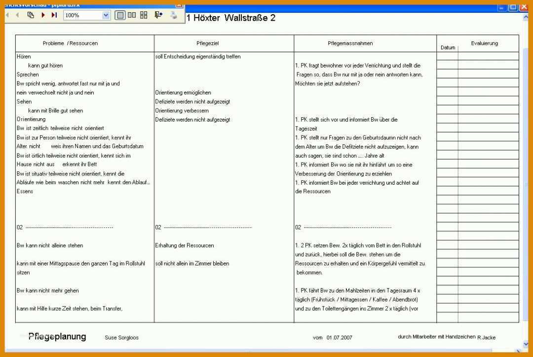 Allerbeste Vorlage Pflegeplanung 1120x752