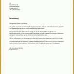 Tolle Din 5008 Vorlage Lebenslauf 1268x1782