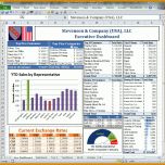 Einzahl Excel Dashboard Vorlage 975x957