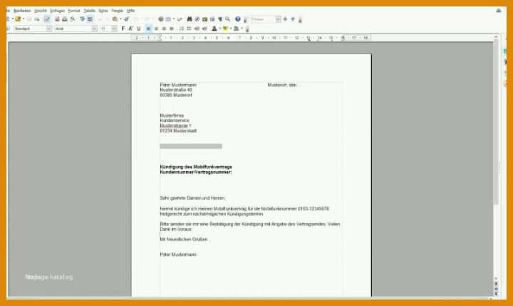 Spektakulär Maßnahmenplan Vorlage Pflege 800x477