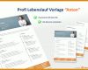 Erstaunlich Professioneller Lebenslauf Vorlage Word 994x588