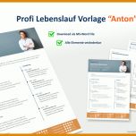Erstaunlich Professioneller Lebenslauf Vorlage Word 994x588