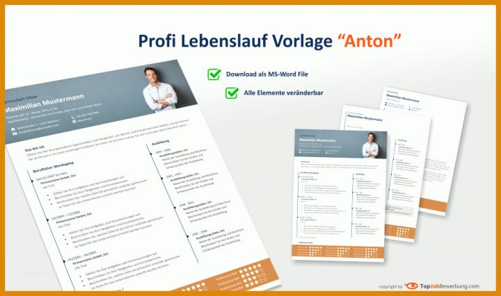 Original Professioneller Lebenslauf Vorlage Word 994x588