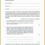 Neue Version Unfallbericht Vorlage Pdf 1140x1614