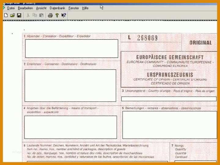 Ursprungszeugnis Excel Vorlage Freeforms
