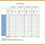 Fantastisch Bewertungsmatrix Vorlage 960x720