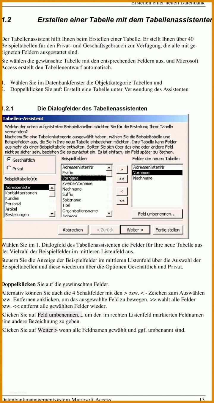 Perfekt Kundendatenbank Access Vorlage 912x1715