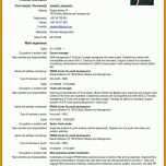 Fabelhaft Lebenslauf Vorlage Europass 736x1041