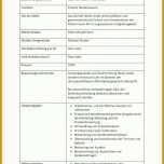 Limitierte Auflage Mitarbeiterbeurteilung Vorlage 868x1227