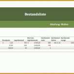 Tolle organigramm Erstellen Excel Vorlage Kostenlos 1682x846