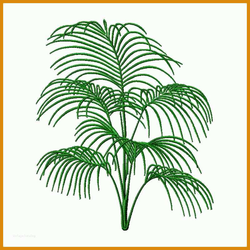 Wunderschönen Palmenblatt Vorlage 800x800