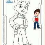 Bemerkenswert Paw Patrol Vorlage 2977x4176